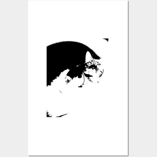 Empty Space Cat Lovers Posters and Art